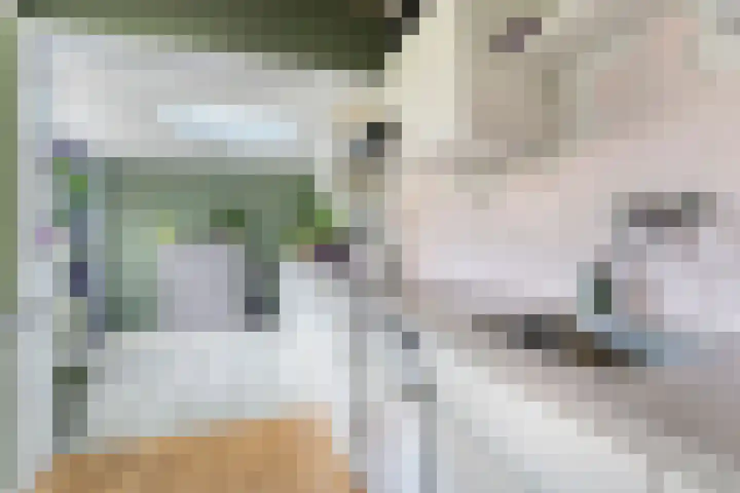 De Genestetlaan 12 Hoogeveen thumbnail 20