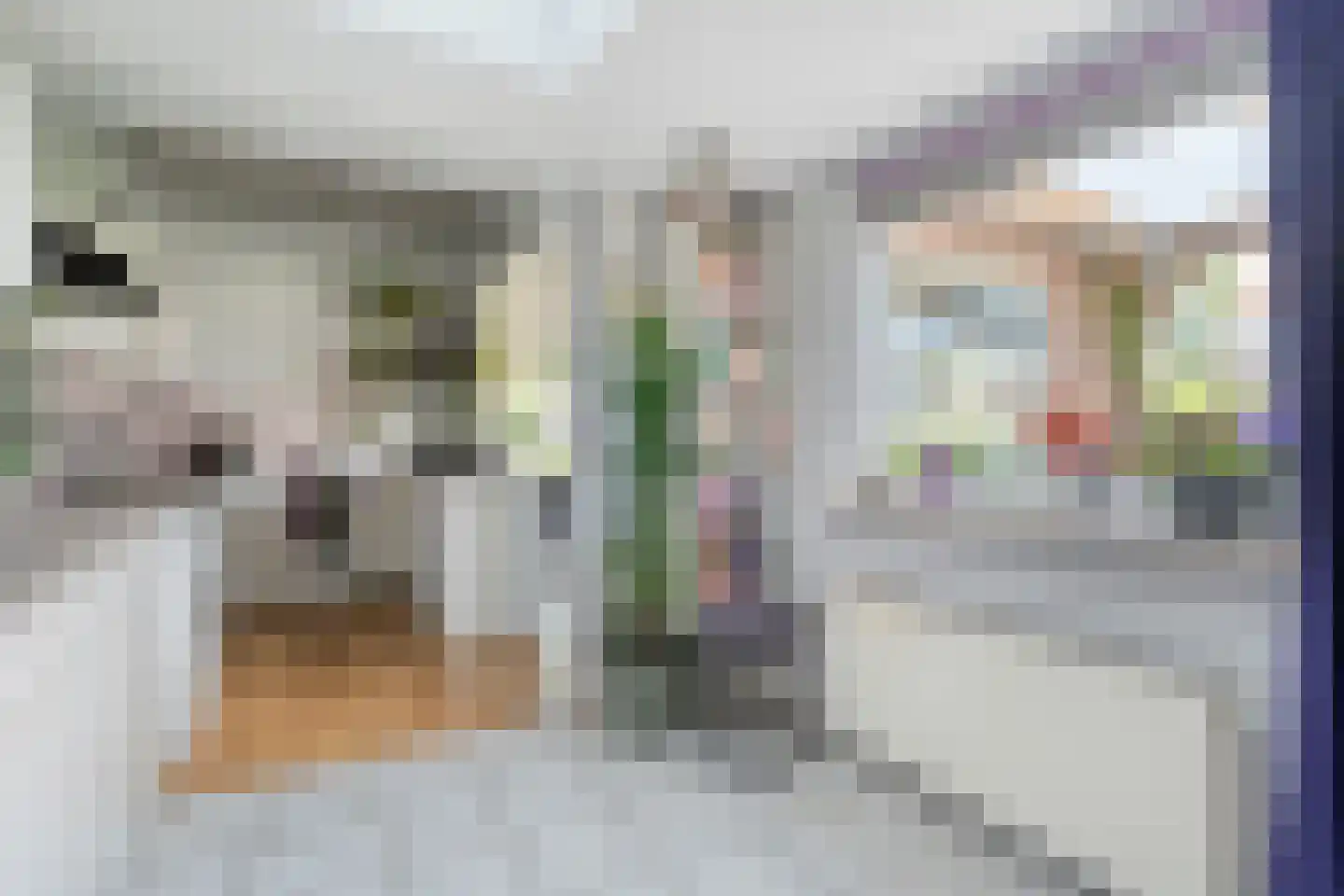 De Genestetlaan 12 Hoogeveen thumbnail 22