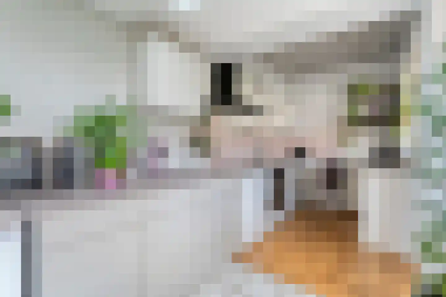 De Genestetlaan 12 Hoogeveen thumbnail 23