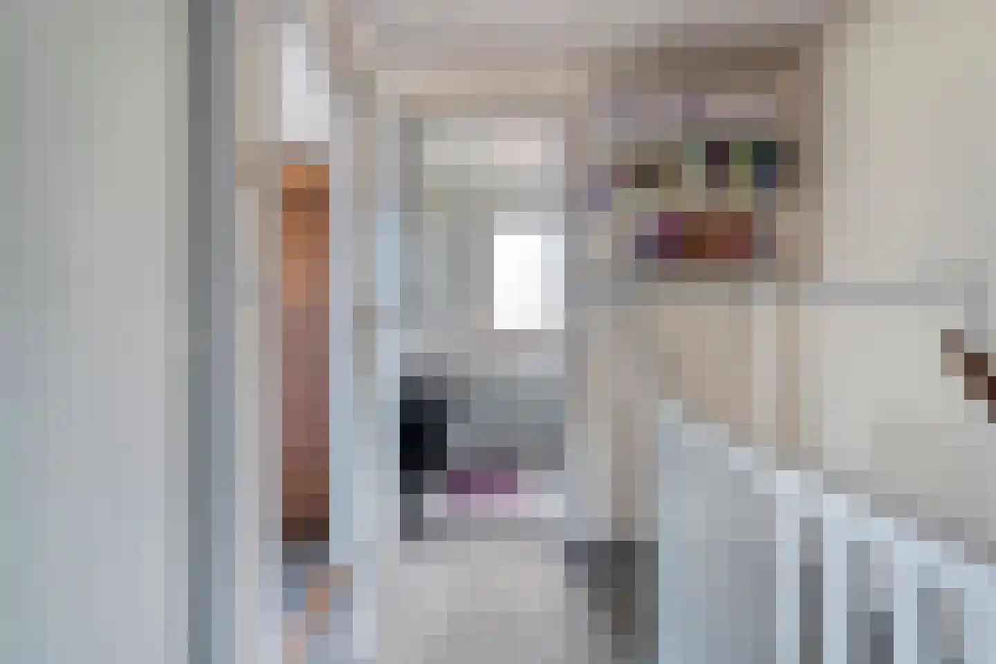 De Genestetlaan 12 Hoogeveen thumbnail 27