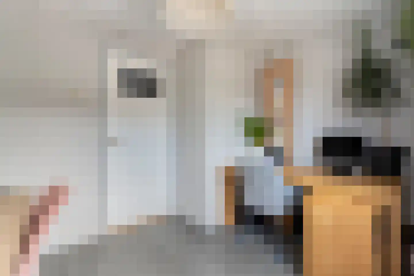 De Genestetlaan 12 Hoogeveen thumbnail 33