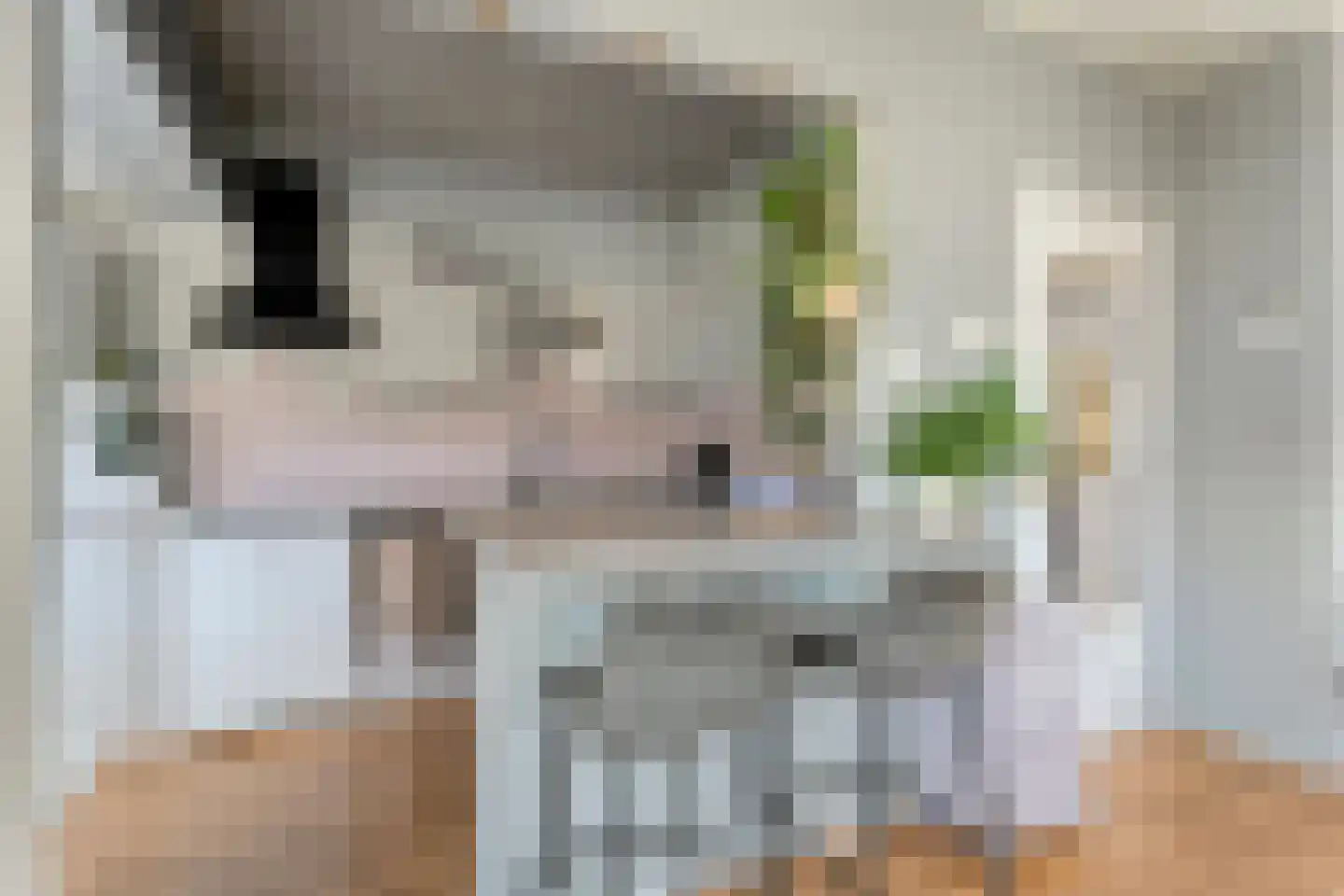 De Genestetlaan 12 Hoogeveen thumbnail 4
