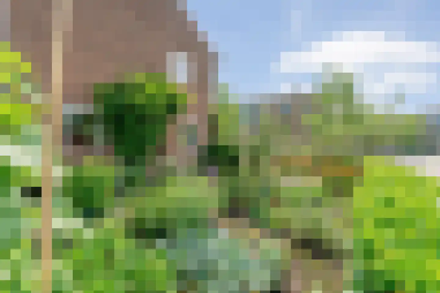 De Genestetlaan 12 Hoogeveen thumbnail 47