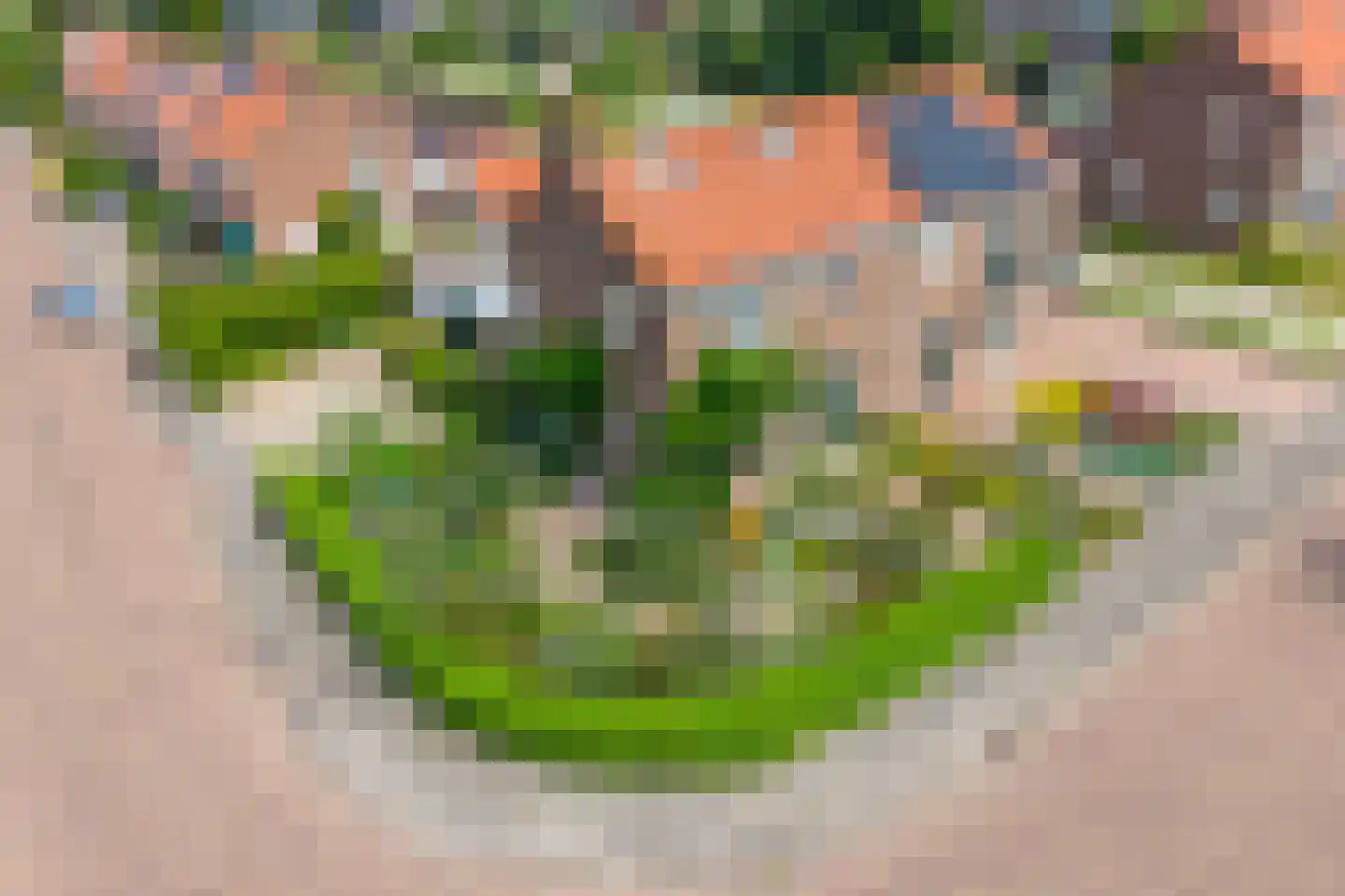 De Genestetlaan 12 Hoogeveen thumbnail 50
