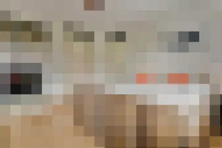 de Génestetlaan 121 Nijmegen thumbnail 19