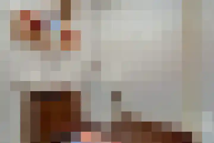 de Génestetlaan 121 Nijmegen thumbnail 22