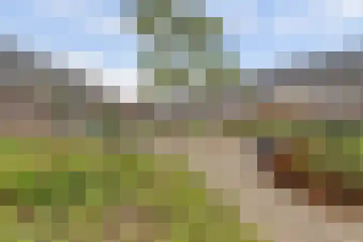 de Génestetlaan 121 Nijmegen thumbnail 37