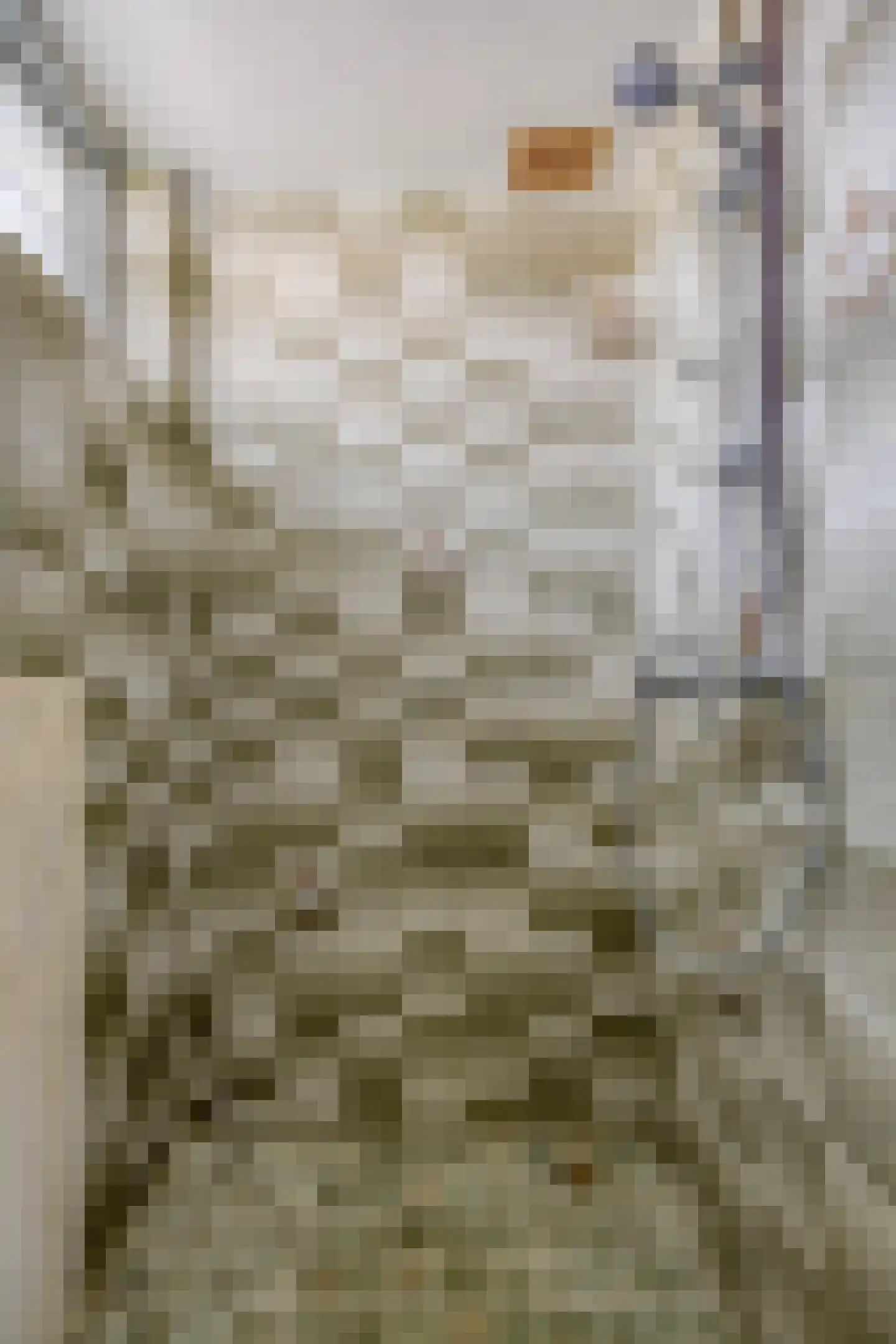 De Genestetlaan 13 Roosendaal thumbnail 9