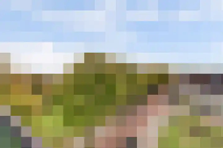 de Génestetlaan 131 Nijmegen thumbnail 31