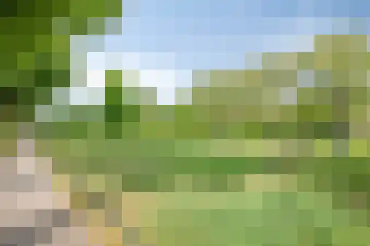 de Génestetlaan 137 Nijmegen thumbnail 29