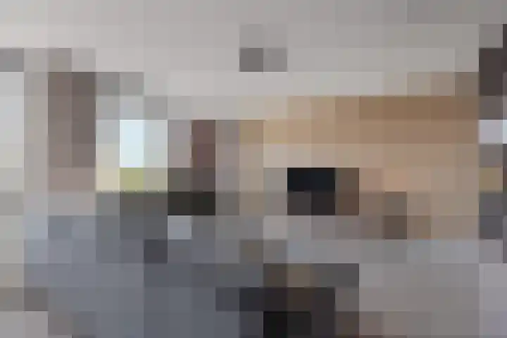 de Génestetlaan 143 Nijmegen thumbnail 15