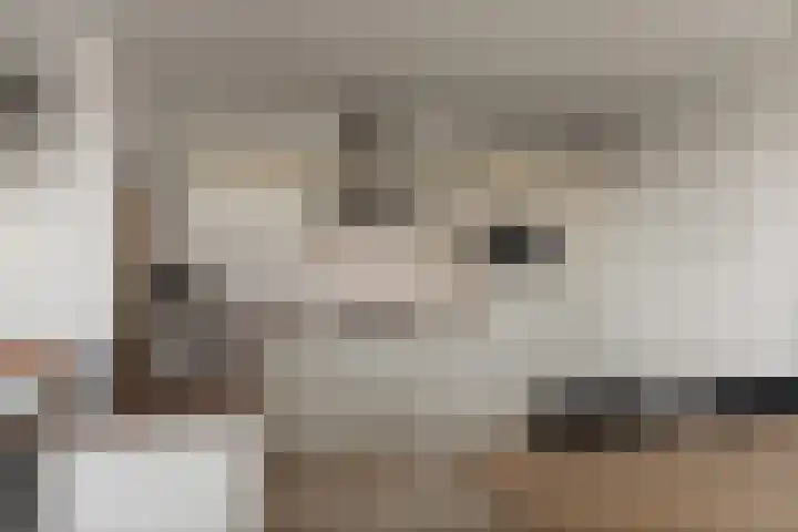 de Génestetlaan 143 Nijmegen thumbnail 4