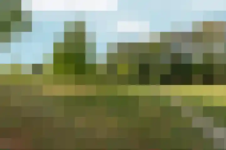 de Génestetlaan 143 Nijmegen thumbnail 46
