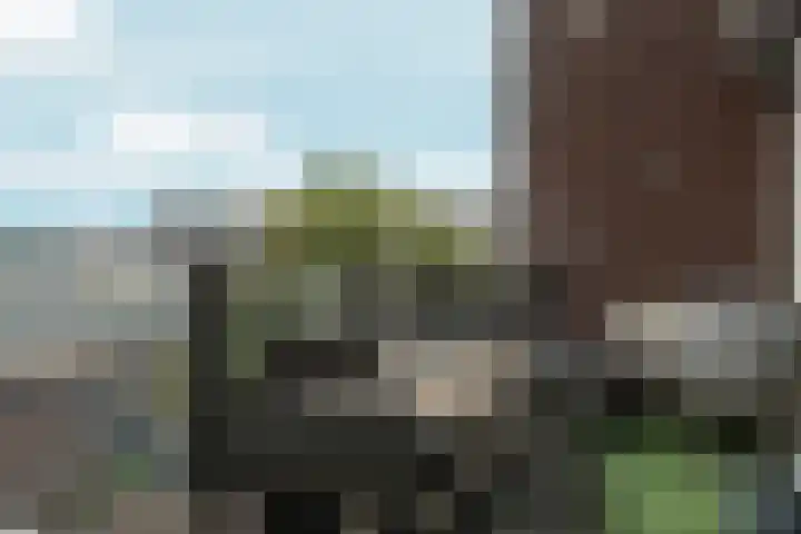 de Génestetlaan 143 Nijmegen thumbnail 6
