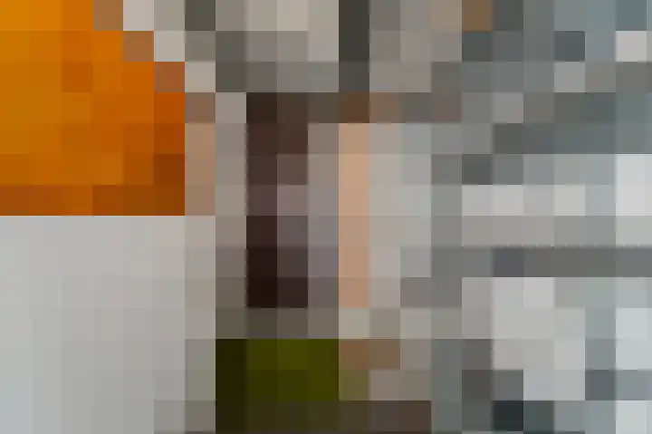 De Genestetlaan 154 Den Haag thumbnail 16