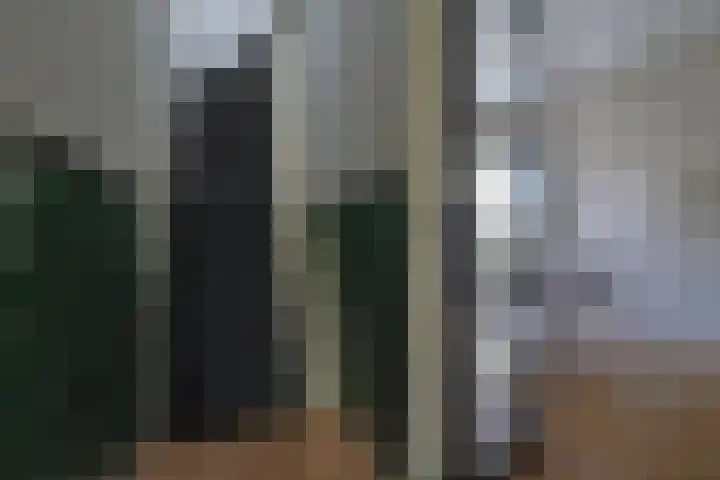 De Genestetlaan 16 Bussum thumbnail 16