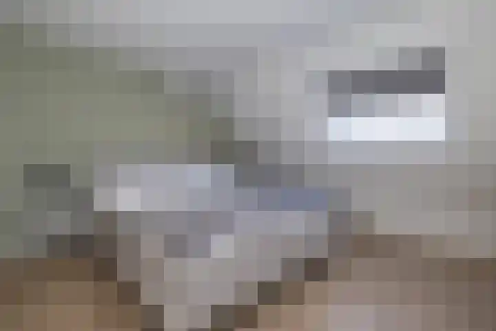 De Genestetlaan 16 Bussum thumbnail 21