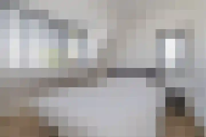 De Genestetlaan 16 Bussum thumbnail 25