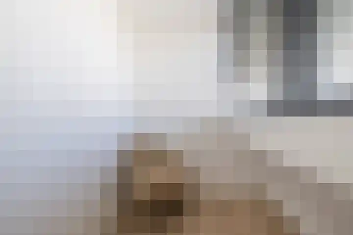 De Genestetlaan 16 Bussum thumbnail 26