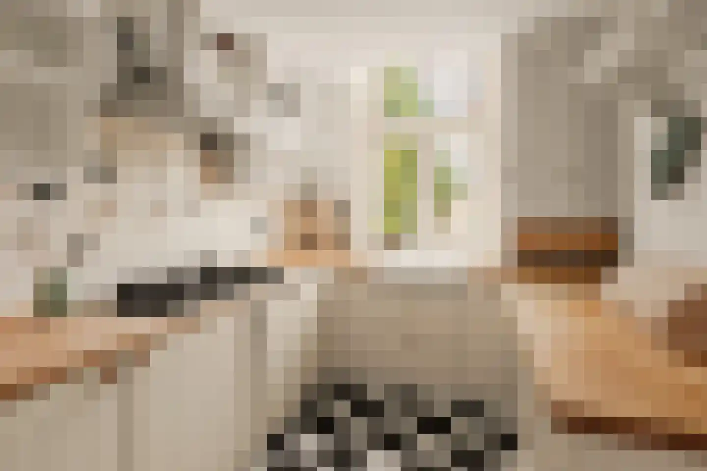 De Genestetlaan 17 Bussum thumbnail 17