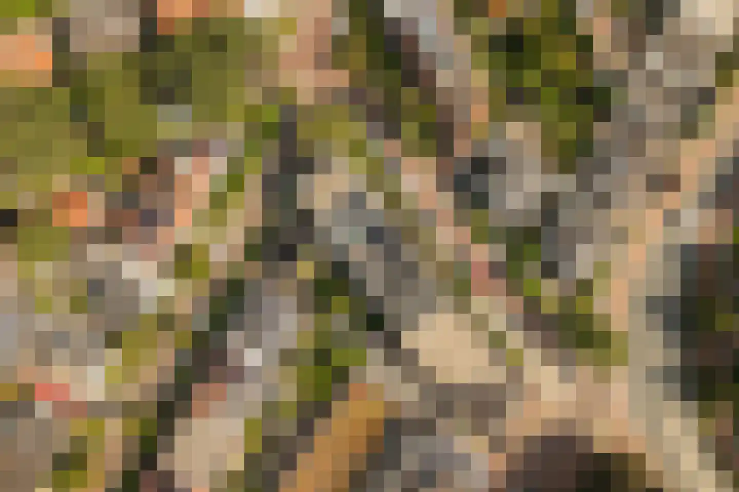 De Genestetlaan 17 Bussum thumbnail 34
