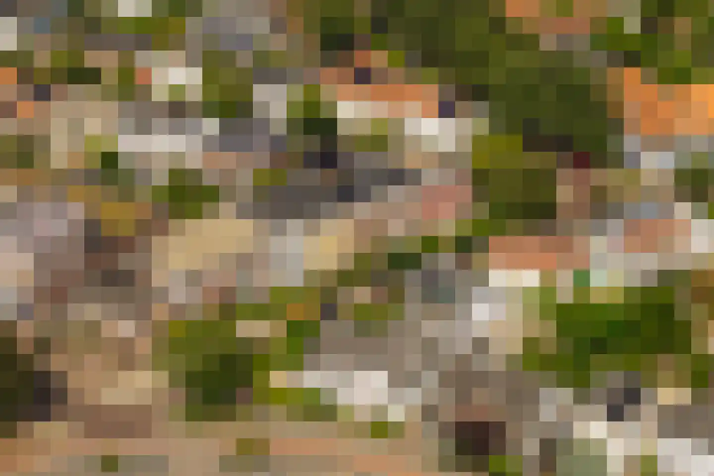 De Genestetlaan 17 Bussum thumbnail 35