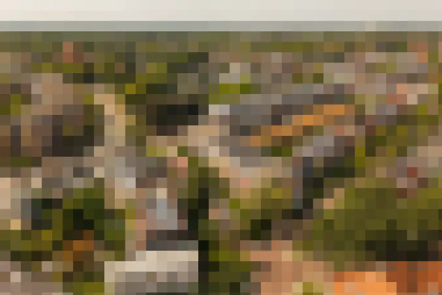 De Genestetlaan 17 Bussum thumbnail 36