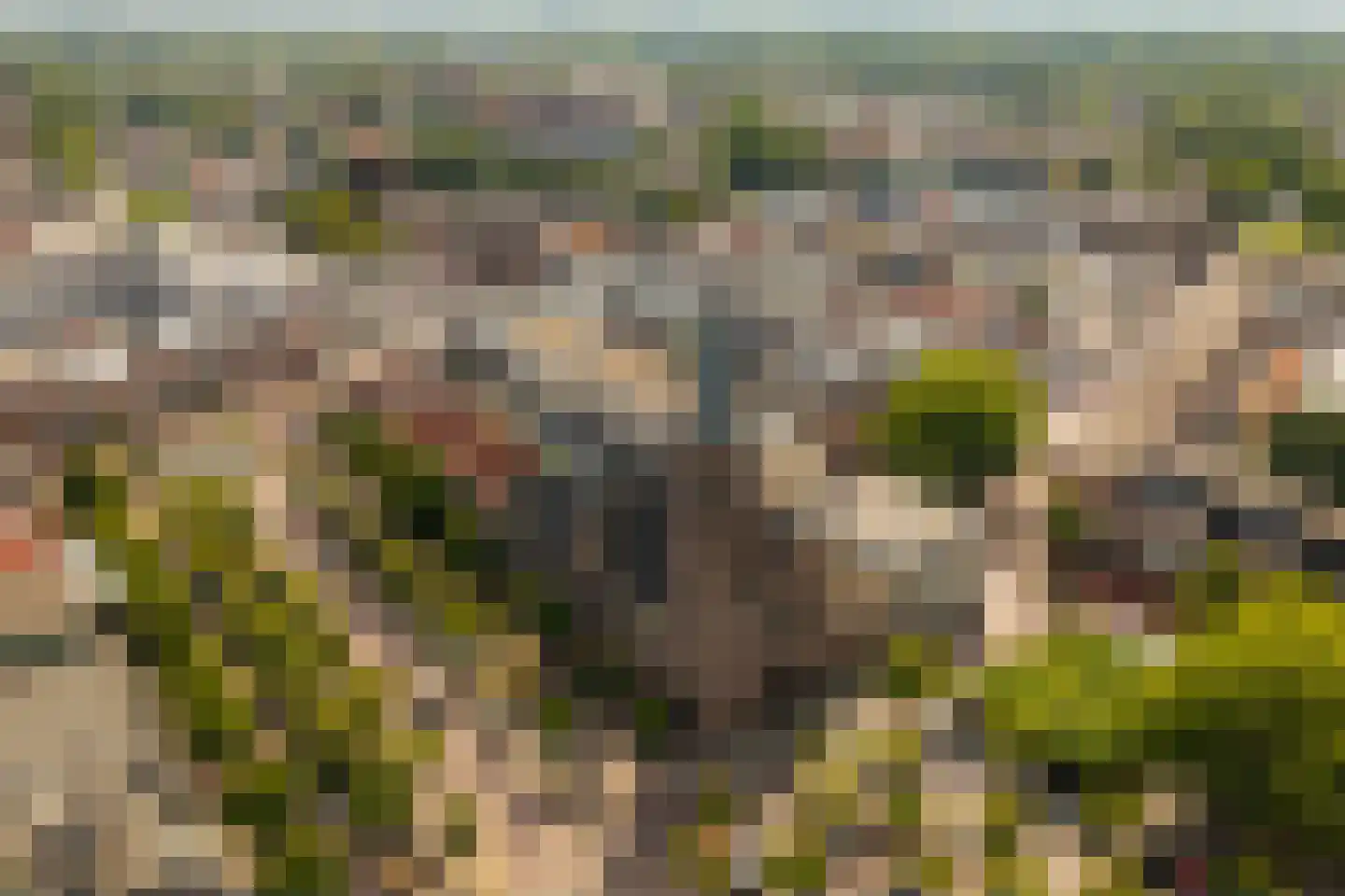 De Genestetlaan 17 Bussum thumbnail 37