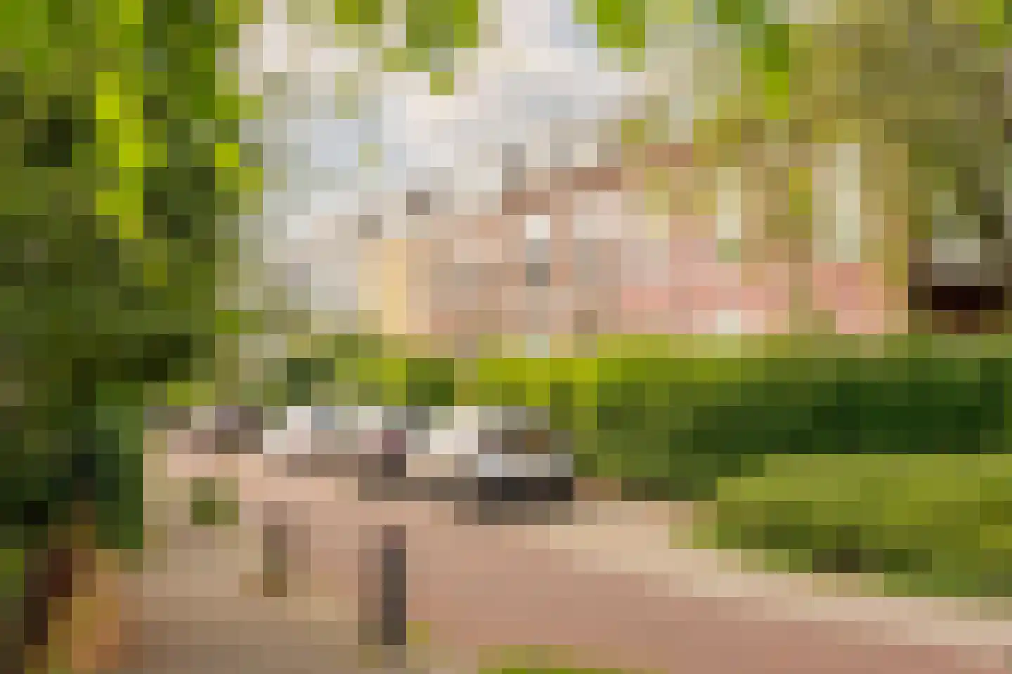De Genestetlaan 17 Bussum thumbnail 38