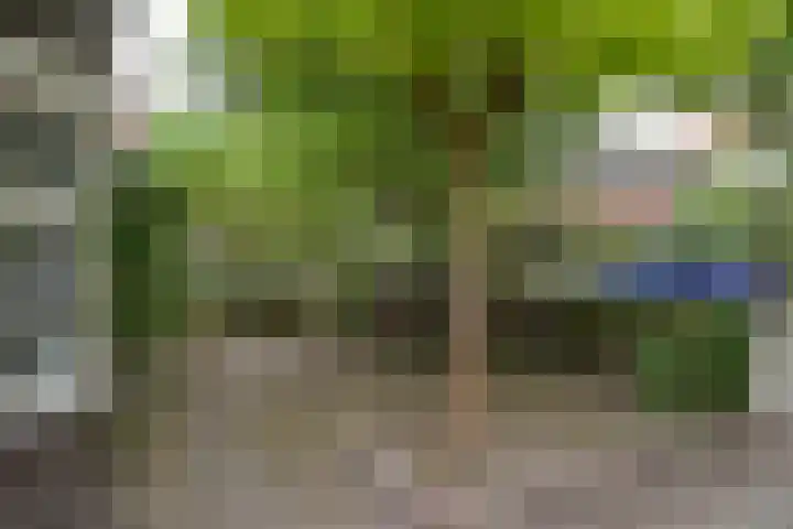 De Génestetlaan 17 Zeist thumbnail 22