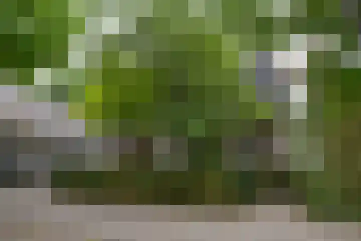 De Génestetlaan 17 Zeist thumbnail 25