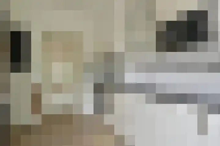 De Génestetlaan 17 Zeist thumbnail 8