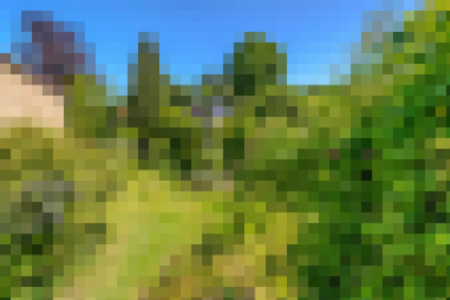 de Genestetlaan 18 a Rozendaal thumbnail 33
