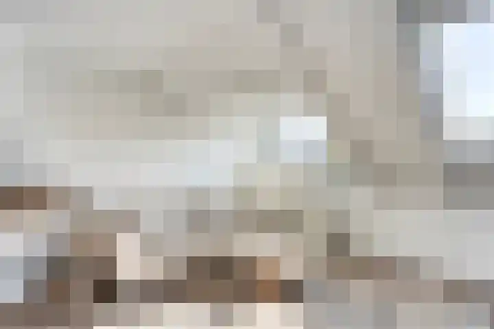 De Genestetlaan 195 B Den Haag thumbnail 13