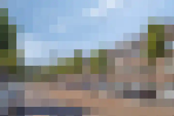 De Genestetlaan 195 B Den Haag thumbnail 4