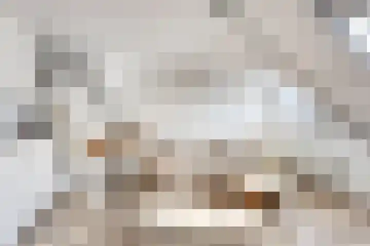 De Genestetlaan 195 B Den Haag thumbnail 6