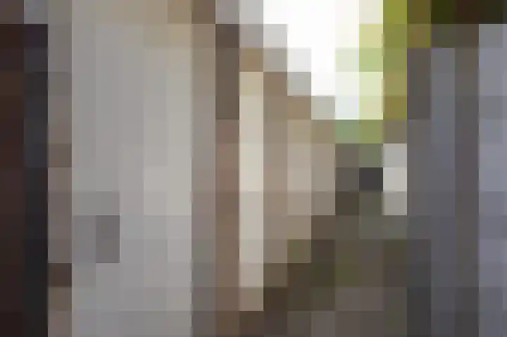 De Genestetlaan 198 Den Haag thumbnail 35
