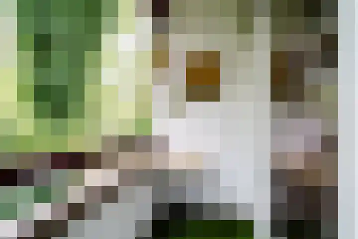 De Genestetlaan 20 B Amersfoort thumbnail 16
