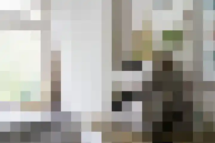 De Genestetlaan 20 B Amersfoort thumbnail 18
