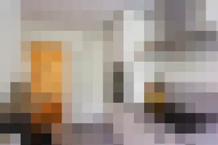 De Genestetlaan 20 B Amersfoort thumbnail 19