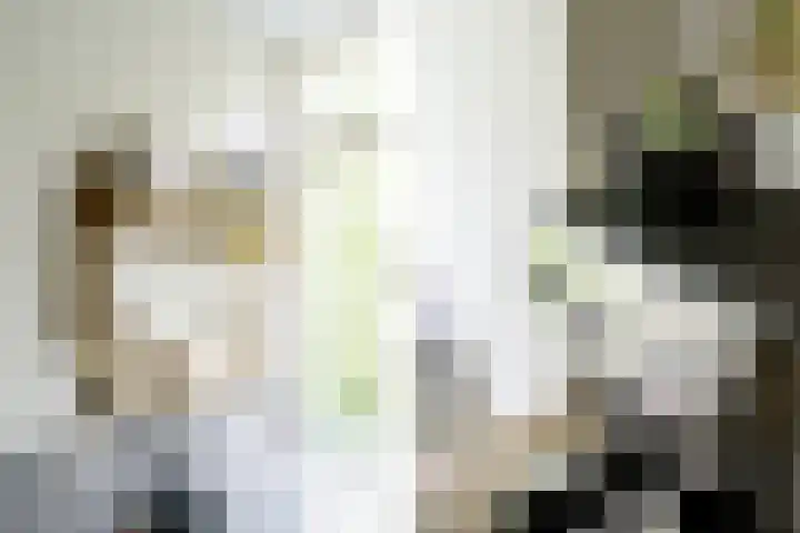 De Genestetlaan 20 B Amersfoort thumbnail 20
