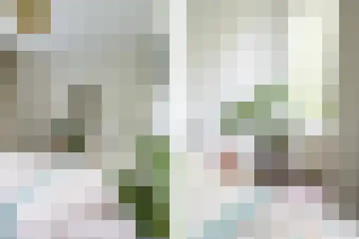 De Genestetlaan 20 B Amersfoort thumbnail 23