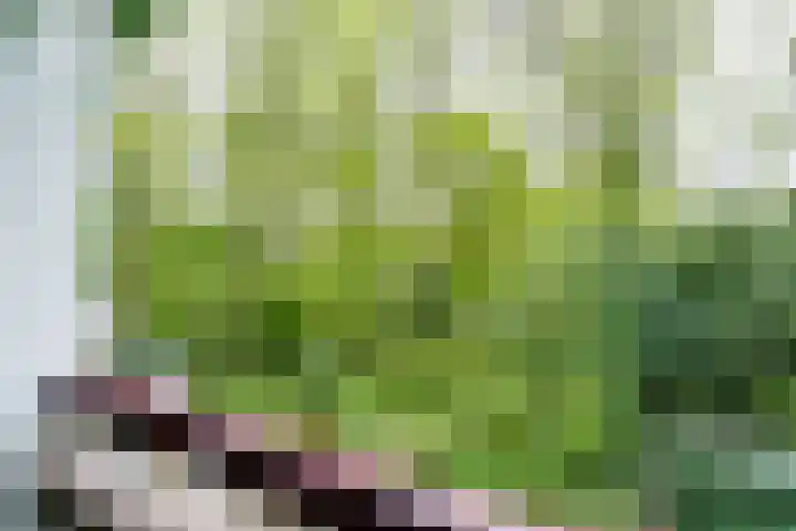 De Genestetlaan 20 B Amersfoort thumbnail 26