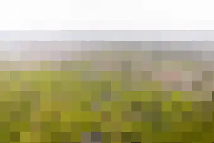 De Genestetlaan 20 B Amersfoort thumbnail 28