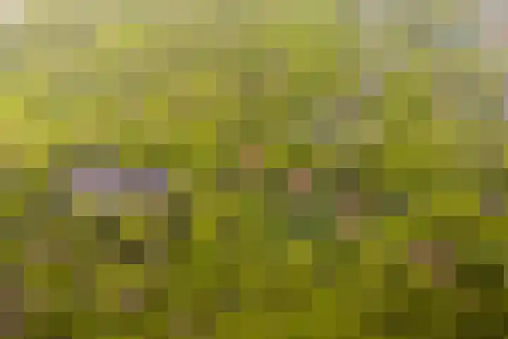 De Genestetlaan 20 B Amersfoort thumbnail 31