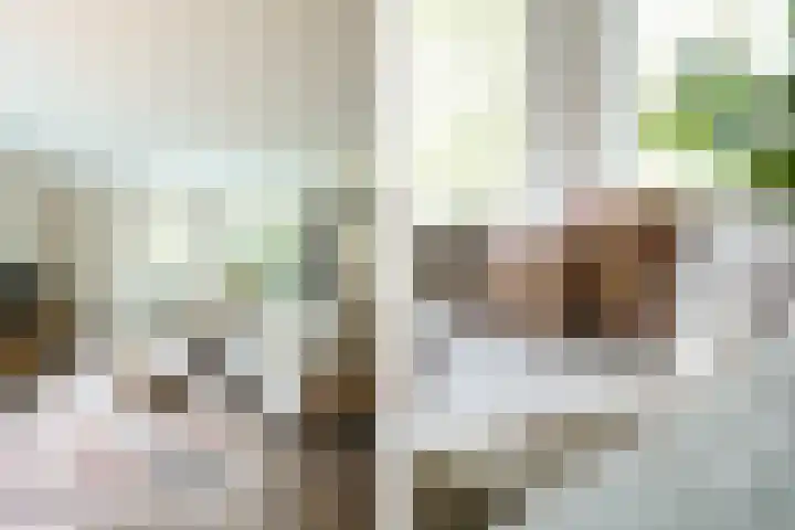 De Genestetlaan 20 B Amersfoort thumbnail 7
