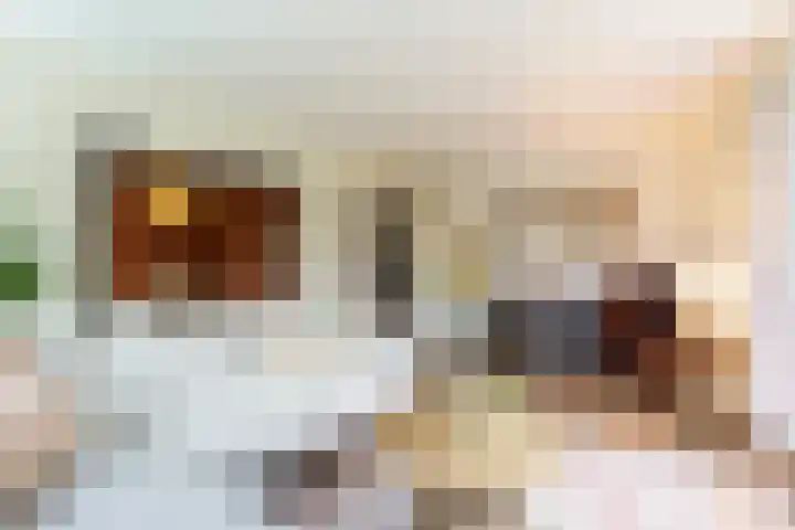 De Genestetlaan 20 B Amersfoort thumbnail 9