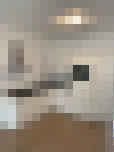 De Genestetlaan 200 Den Haag thumbnail 6