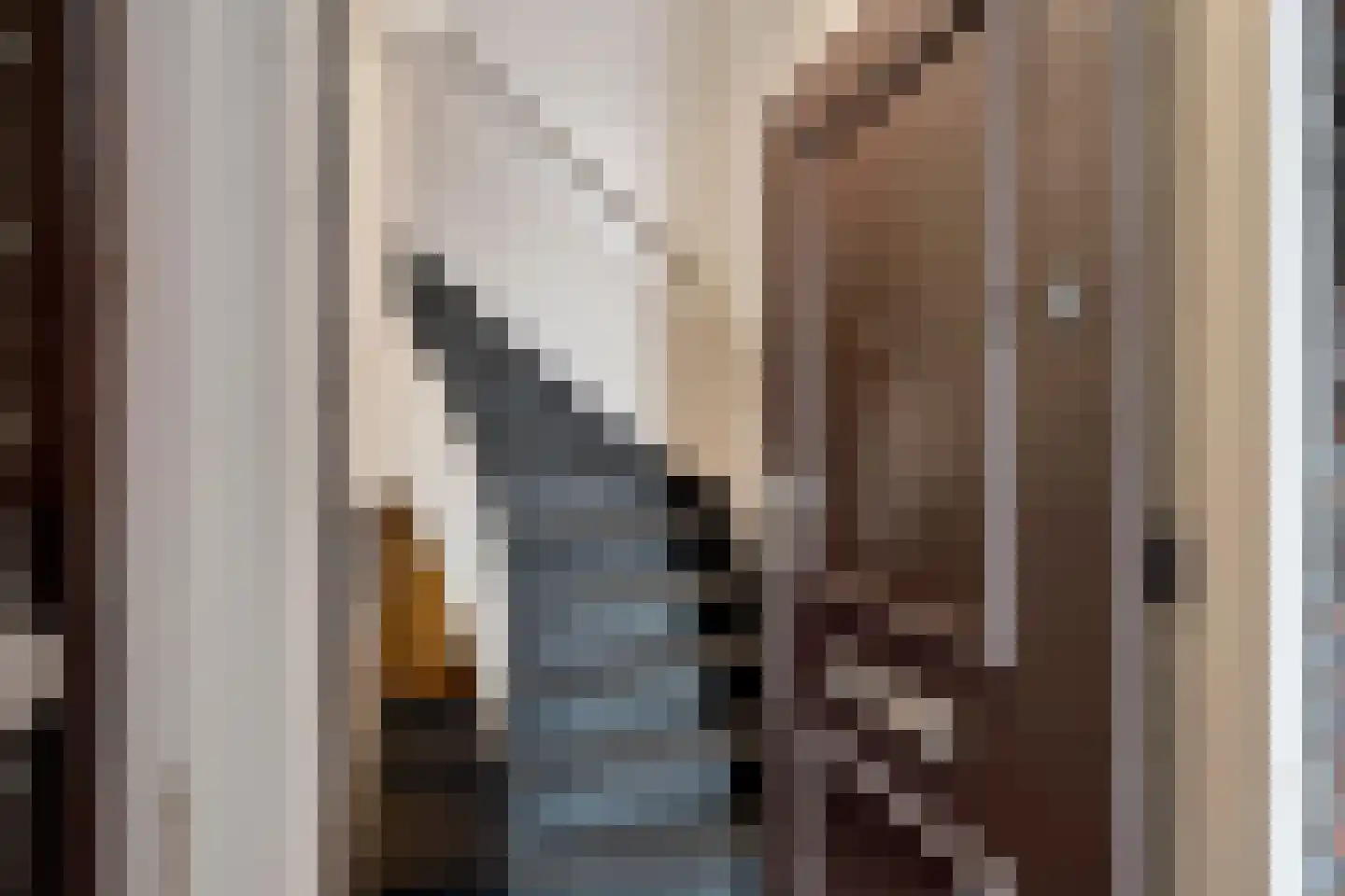 De Genestetlaan 206 A Den Haag thumbnail 19