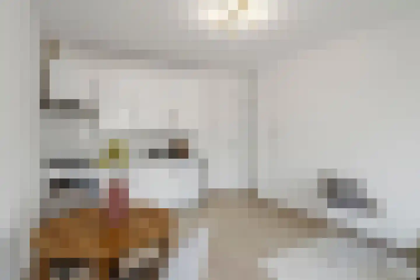 De Genestetlaan 206 A Den Haag thumbnail 7
